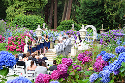 A FAIRY TALE WEDDING